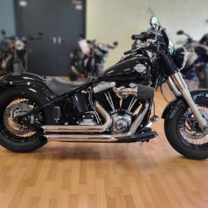 HARLEY DAVIDSON SOFTAIL SLIM 103 + access / stage 1