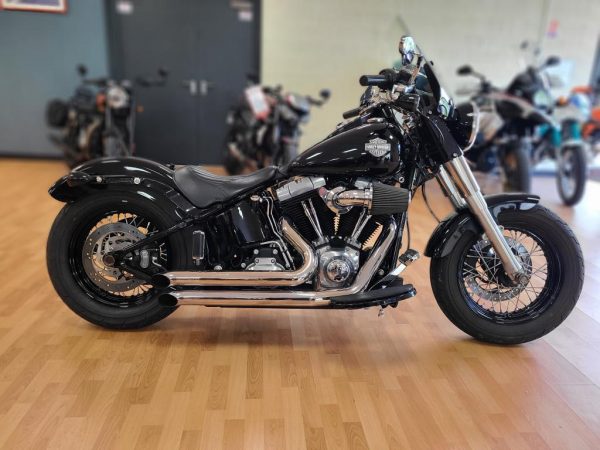 HARLEY DAVIDSON SOFTAIL SLIM 103 + access / stage 1